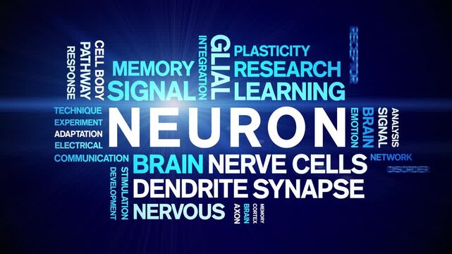 Neuron animated word cloud-text design animation tag kinetic typography seamless loop.
