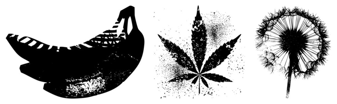 Graphic vector featuring banana with textured, leaf with speckled effect, dandelion seed head with intricate. Flat design, isolated elements, ideal for branding or UI.