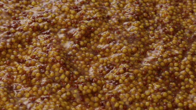 close up grainy mustard food texture rotation