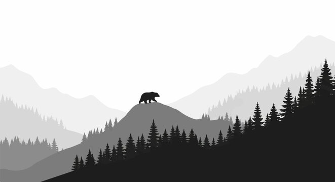 A lone bear silhouetted against a mist-filled mountain range and pine forest