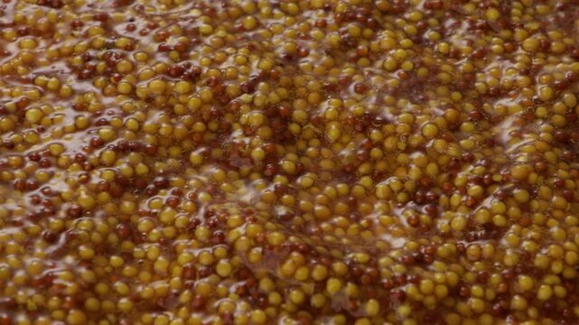close up grainy dijon mustard food texture zoom