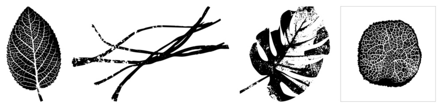 Black and white vector botanical elements including leaf veins, twig clusters, leaf shapes, and cracked surface textures. Ideal for eco design, graphic, and nature inspired.