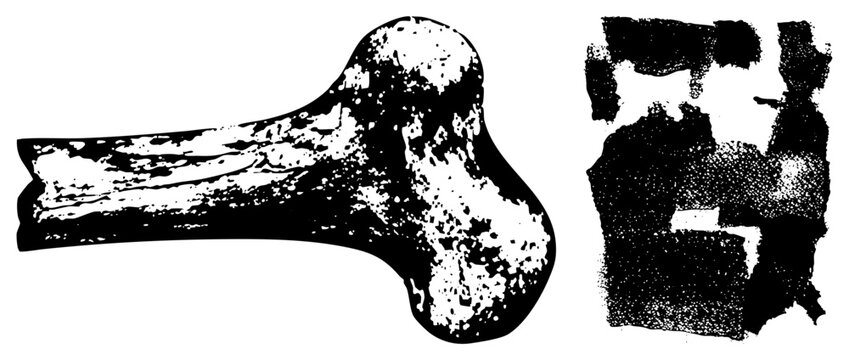 femur bone with weathered texture, archaeological specimen, paleontological artifact, skeletal remains, prehistoric bone, isolated bone fragment, scientific research.