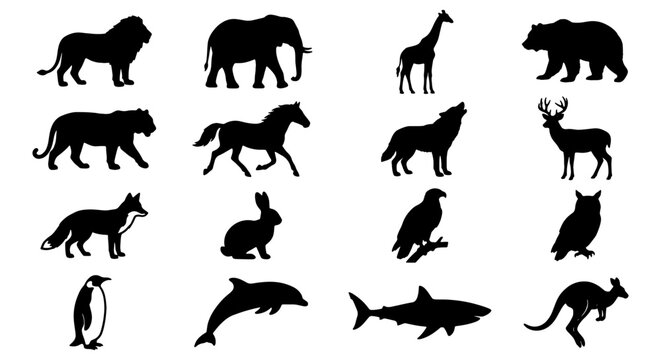 Wild animal silhouettes set, 16 black vector icons of safari and forest creatures, zoo animal collection for logo design and educational graphics