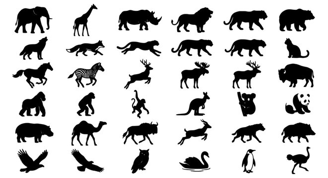 Wild animal silhouettes collection, 36 black fauna vector icons, zoo and safari wildlife set, nature and forest creature shapes for logo design