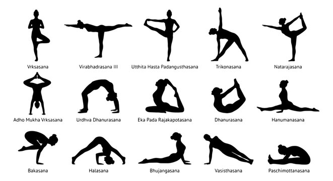 Yoga poses silhouette collection, 15 asana icons with Sanskrit labels, black female yoga figures for fitness and wellness design, vector set