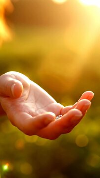 Open hand reaches forward in golden sunlight creating a hopeful human connection concept for help support welcome guidance and empathy themeshand