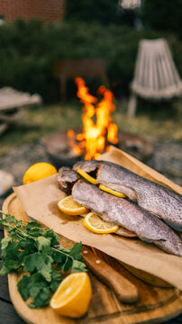 Fresh trout prepared with lemon and herbs for outdoor grilling over a campfire