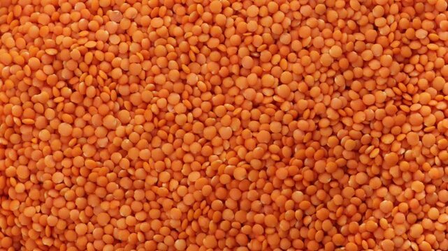 uncooked red lentils food backgroud rotation