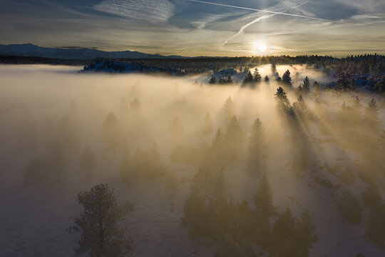Sunrise Cutting Through the Fog in California Mountains
