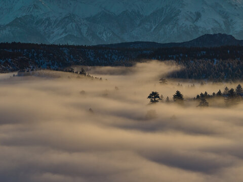 Sunrise Cutting Through the Fog in California Mountains