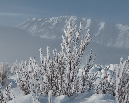 Frozen Ice Sculptures and Formation on Cold Morning in the Sierr