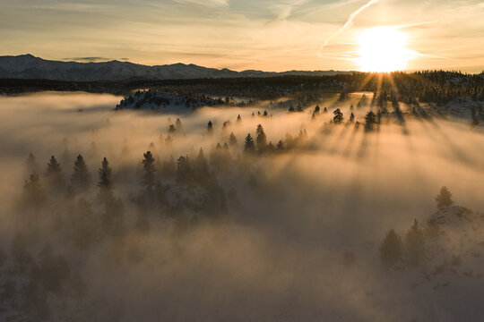Sunrise Cutting Through the Fog in California Mountains