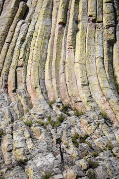 Columnar Rock Cliff With Lichen-Covered Vertical Columns and Rug
