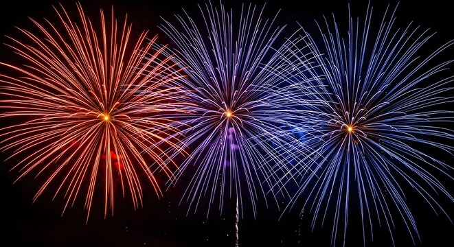 Colorful fireworks exploding in night sky