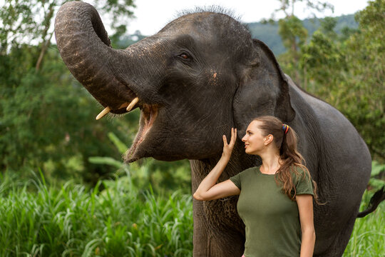 girl standing near an elephant in the jungle