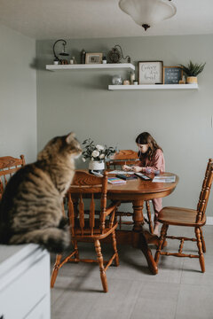 Young girl painting at a table with a tabby cat in the foreground