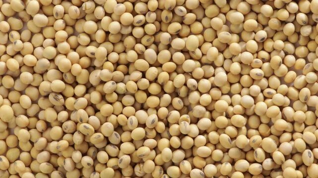 uncooked soybeans food backgroud zoom