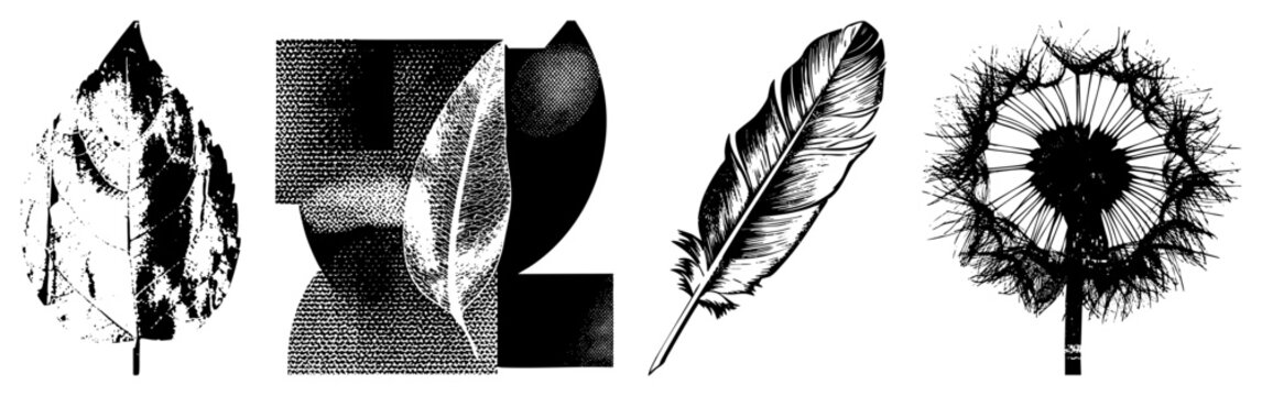 Black and white vector art of botanical elements textured leaf, halftone leaf, feather, dandelion seed head, isolated design, clean, graphic style.