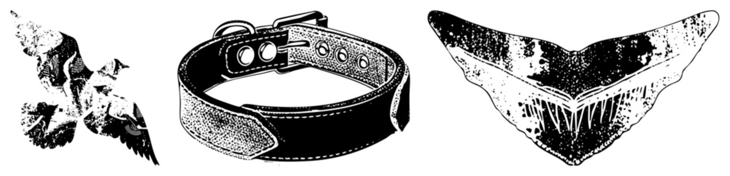 Classic pet accessory with adjustable buckle, leather texture, punched holes, edges, and metal rivets for durability.