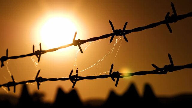 Barbed Wire Silhouette at Sunset with Spider Webs