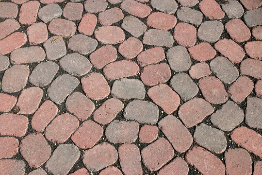 Gepflasterter Gartenweg