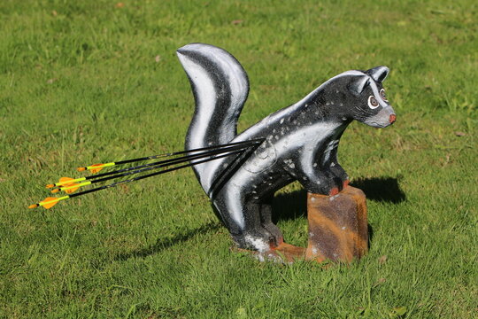 3D-Ziel Stinktier mit Pfeilen auf einer Wiese