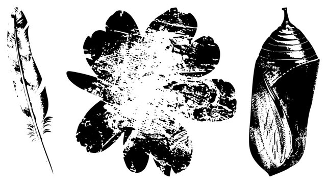 Black and white halftone illustrations of feather, stylized flower, and chrysalis. Vintage graphic design elements, nature motifs, artistic silhouettes, vector art.