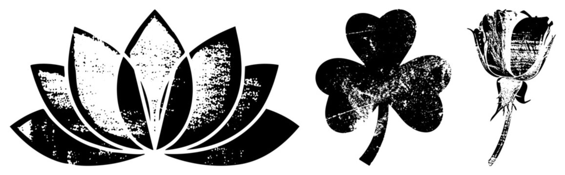Distressed lotus bloom, four leaf clover, rosebud stem, graphic symbols with texture, vector art, symbolic motifs.