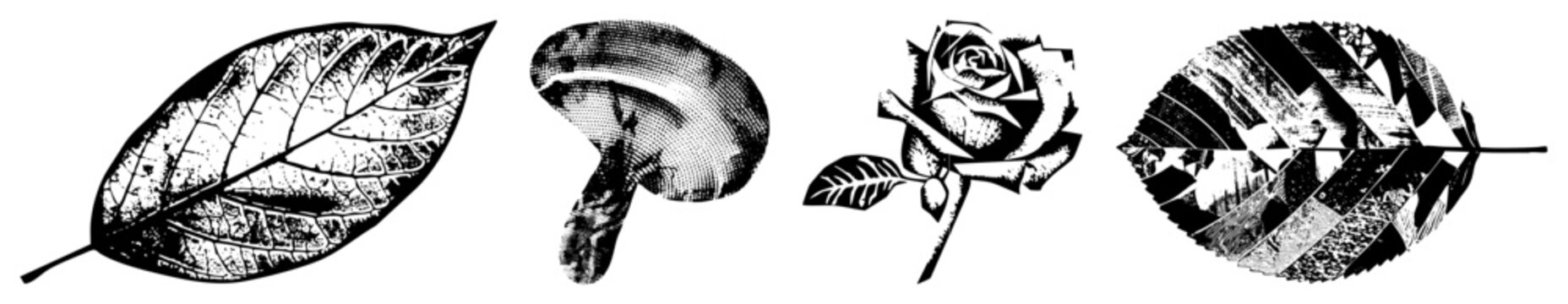 Leaf, mushroom, rose, and leaf rendered in halftone style, black and white vector art, botanical design, isolated foreground elements.