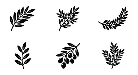 Vintage olive branch vector set, black botanical leaf icons, 6 organic olive sprig elements for logo design and food packaging labels © Sabbir