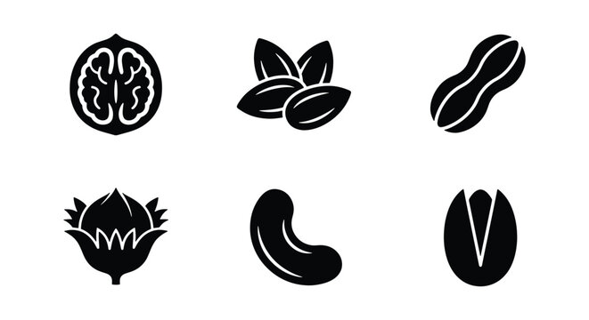 Minimalist nut icons set, black silhouette walnut and almond symbols, collection of 6 organic peanut and cashew vector elements for food packaging