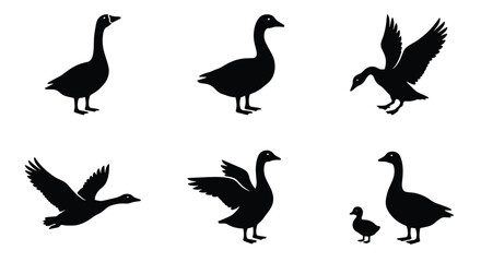 Goose silhouette vector collection, black waterfowl bird icons in various poses, flying and standing geese set for farm and nature design © Ahmed