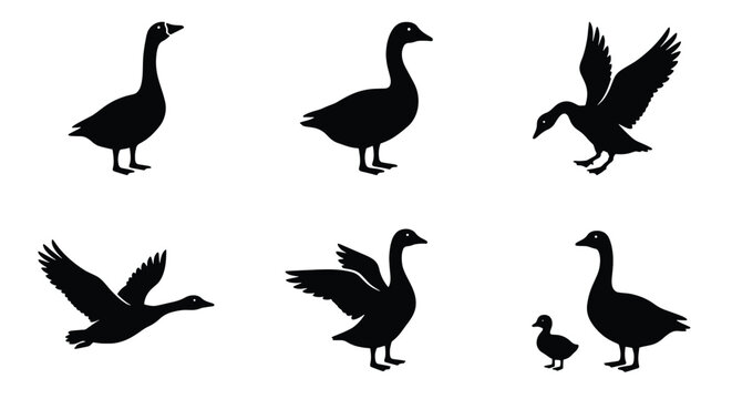 Goose silhouette vector collection, black waterfowl bird icons in various poses, flying and standing geese set for farm and nature design