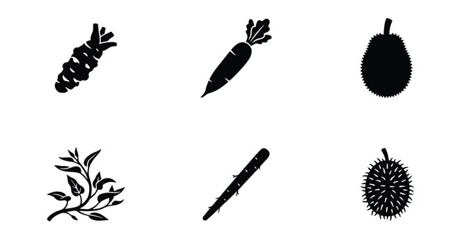 Minimalist black vegetable icons set, organic root vegetables and exotic fruit silhouettes, 6 flat vector elements for grocery and food branding