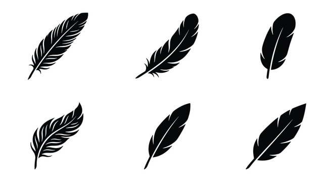 Black feather silhouettes set, collection of 6 bird feather vector icons, elegant quill pen symbols for writing and literature, minimalist plumage graphics
