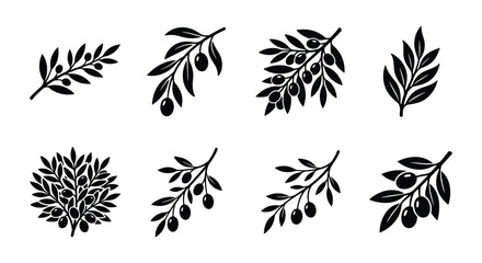 Black olive branch icons set, organic olive tree leaf silhouettes, mediterranean plant vector elements for food packaging and logo design © MD