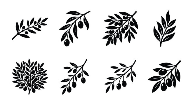 Black olive branch icons set, organic olive tree leaf silhouettes, mediterranean plant vector elements for food packaging and logo design