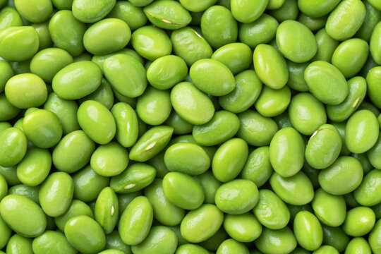 Green full screen soya beans pattern texture