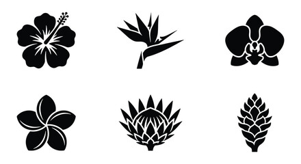 Tropical flower icons set, black silhouette exotic blossoms including hibiscus and plumeria, 6 vector floral elements for summer branding © MD