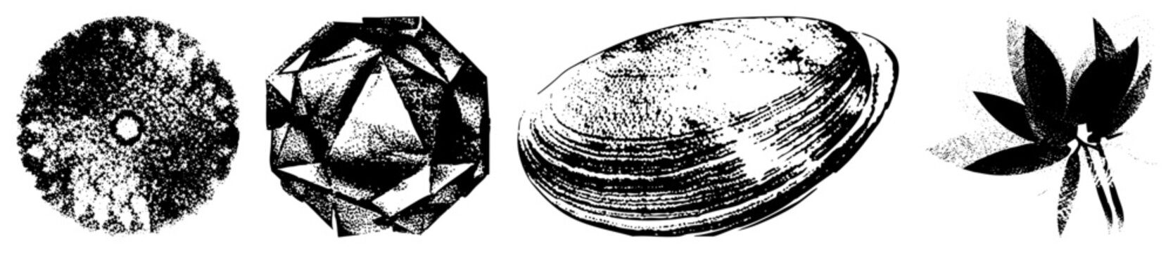 Halftone textured vector art of sunburst, multifaceted crystal, ribbed clam, and stylized lotus flower, isolated on transparent background.