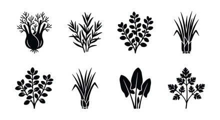 Minimalist culinary herbs black silhouette icons, set of 8 organic plant vector elements, botanical garden herb illustrations for kitchen and food packaging © Kawsar