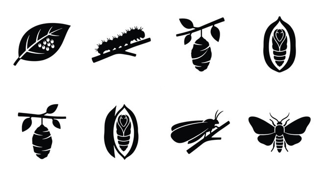 Silhouetted butterfly life cycle icons, 8 black vector elements showing metamorphosis stages, caterpillar and cocoon symbols for biology education