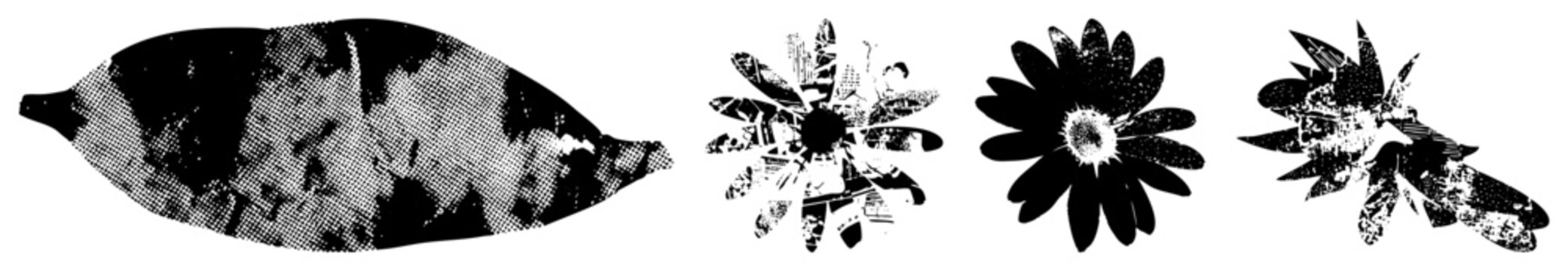Stylized black and white flower and leaf designs using halftone dot, graphic art elements, isolated vector illustrations, decorative botanical motifs.
