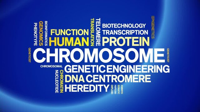 Chromosome animated word cloud-text design animation tag kinetic typography seamless loop.