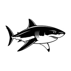 Fototapeta premium Black and white illustration of a great white shark.