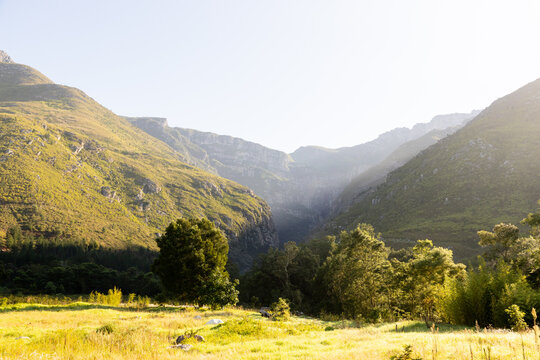 early morning mist over field, trees and mountain, Swellendam, South Africa
