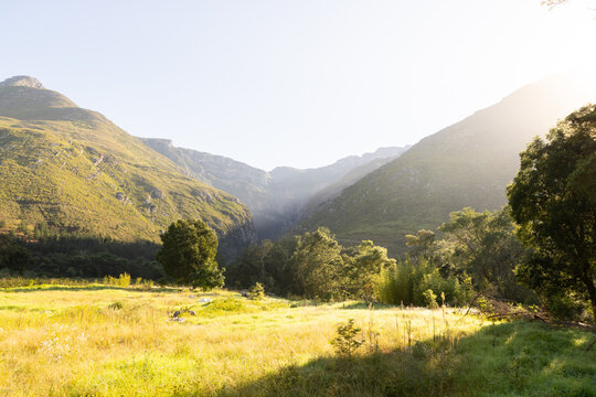 early morning mist over field, trees and mountain, Swellendam, South Africa