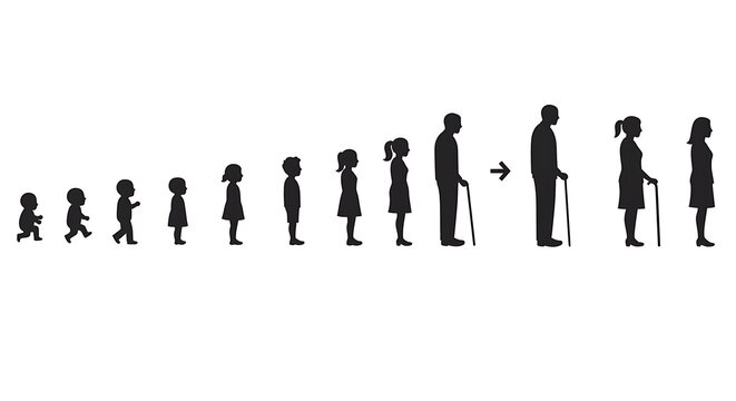 Black silhouettes representing human development stages from infancy to senior citizens