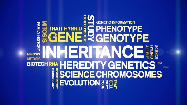 inheritance animated word cloud-text design animation tag kinetic typography seamless loop.